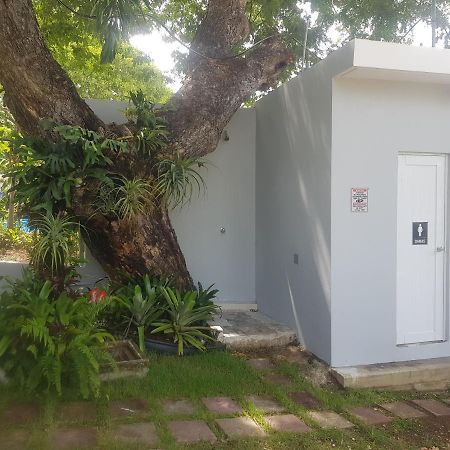 Always Summer Inn Isla Culebra المظهر الخارجي الصورة
