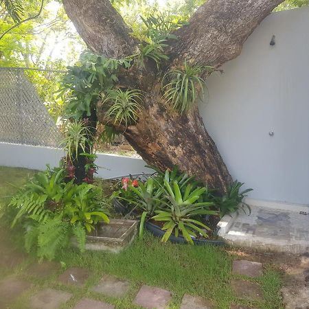 Always Summer Inn Isla Culebra المظهر الخارجي الصورة