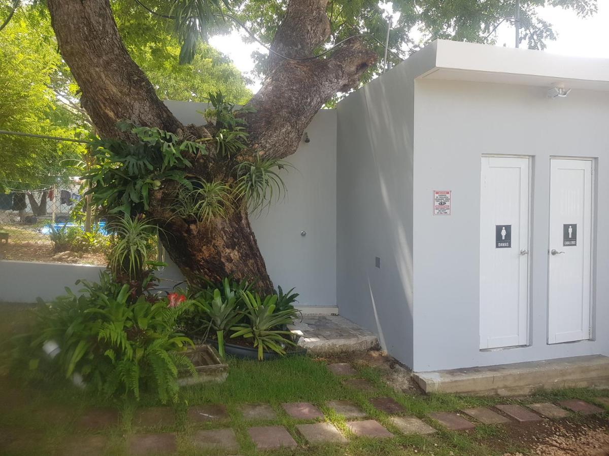 Always Summer Inn Isla Culebra المظهر الخارجي الصورة